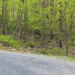 Photo of UNDER CONTRACT!  6.01 Acres of Residential Land For Sale in Frederick County VA!