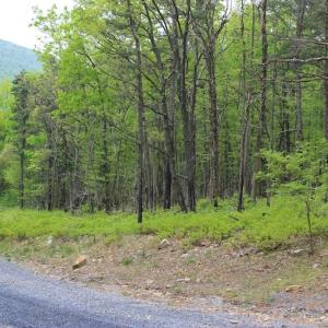Photo of UNDER CONTRACT!  6.01 Acres of Residential Land For Sale in Frederick County VA!