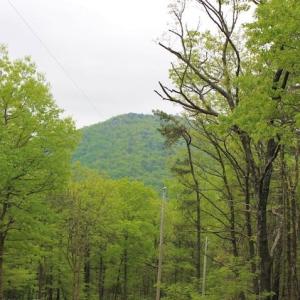 Photo of UNDER CONTRACT!  6.01 Acres of Residential Land For Sale in Frederick County VA!