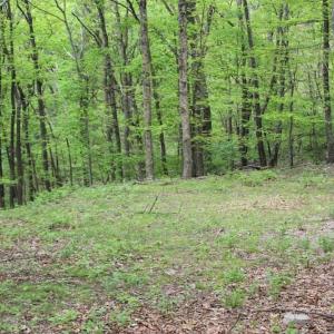 Photo of UNDER CONTRACT!  6.01 Acres of Residential Land For Sale in Frederick County VA!