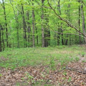 Photo of UNDER CONTRACT!  6.01 Acres of Residential Land For Sale in Frederick County VA!