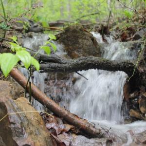 Photo of UNDER CONTRACT!  6.01 Acres of Residential Land For Sale in Frederick County VA!