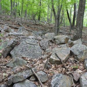 Photo of UNDER CONTRACT!  6.01 Acres of Residential Land For Sale in Frederick County VA!