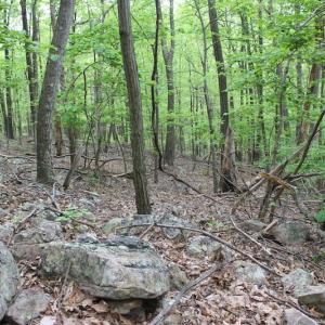 Photo of UNDER CONTRACT!  6.01 Acres of Residential Land For Sale in Frederick County VA!