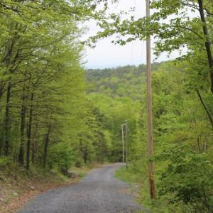 Photo of UNDER CONTRACT!  6.01 Acres of Residential Land For Sale in Frederick County VA!