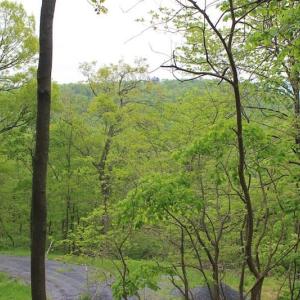 Photo of UNDER CONTRACT!  6.01 Acres of Residential Land For Sale in Frederick County VA!