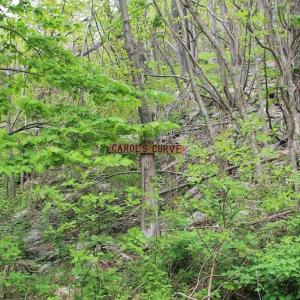 Photo of UNDER CONTRACT!  6.01 Acres of Residential Land For Sale in Frederick County VA!