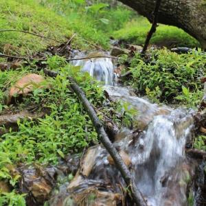 Photo of UNDER CONTRACT!  6.01 Acres of Residential Land For Sale in Frederick County VA!