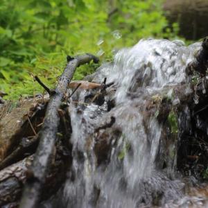 Photo of UNDER CONTRACT!  6.01 Acres of Residential Land For Sale in Frederick County VA!