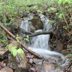 Photo of UNDER CONTRACT!  6.01 Acres of Residential Land For Sale in Frederick County VA!