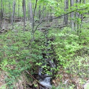 Photo of UNDER CONTRACT!  6.01 Acres of Residential Land For Sale in Frederick County VA!