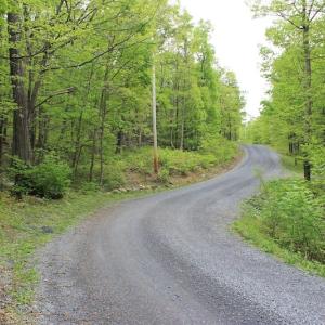 Photo of UNDER CONTRACT!  6.01 Acres of Residential Land For Sale in Frederick County VA!