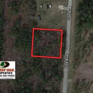 Photo of UNDER CONTRACT!  0.49 Acres of Residential Land For Sale in Edgecombe County NC!