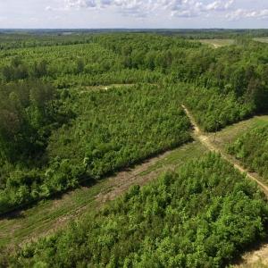Photo of SOLD!! 83 Acres of Hunting and Recreational Land For Sale in Lunenburg County VA!