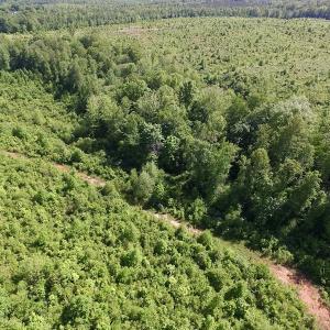 Photo of SOLD!! 83 Acres of Hunting and Recreational Land For Sale in Lunenburg County VA!