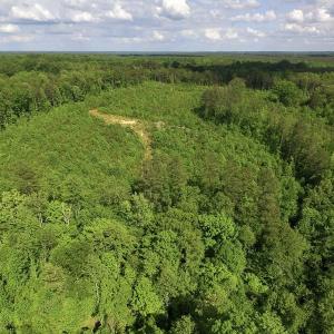 Photo of SOLD!! 83 Acres of Hunting and Recreational Land For Sale in Lunenburg County VA!