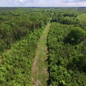 Photo of SOLD!! 83 Acres of Hunting and Recreational Land For Sale in Lunenburg County VA!