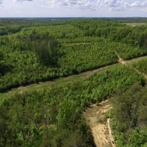 Photo of SOLD!! 83 Acres of Hunting and Recreational Land For Sale in Lunenburg County VA!