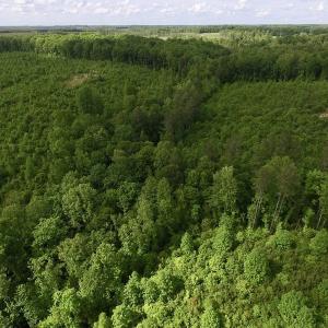 Photo of SOLD!! 83 Acres of Hunting and Recreational Land For Sale in Lunenburg County VA!