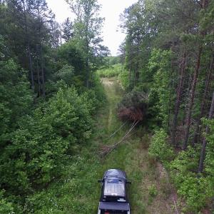 Photo of SOLD!! 83 Acres of Hunting and Recreational Land For Sale in Lunenburg County VA!