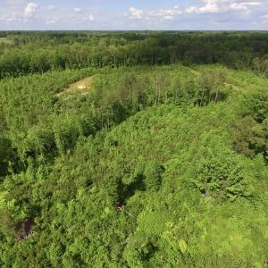 Photo of SOLD!! 83 Acres of Hunting and Recreational Land For Sale in Lunenburg County VA!