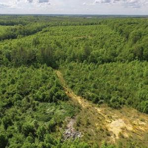 Photo of SOLD!! 83 Acres of Hunting and Recreational Land For Sale in Lunenburg County VA!