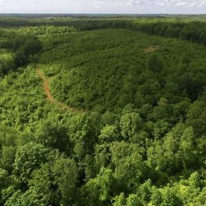 Photo of SOLD!! 83 Acres of Hunting and Recreational Land For Sale in Lunenburg County VA!