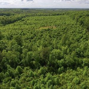 Photo of SOLD!! 83 Acres of Hunting and Recreational Land For Sale in Lunenburg County VA!
