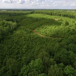 Photo of SOLD!! 83 Acres of Hunting and Recreational Land For Sale in Lunenburg County VA!