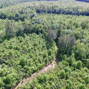 Photo of SOLD!! 83 Acres of Hunting and Recreational Land For Sale in Lunenburg County VA!