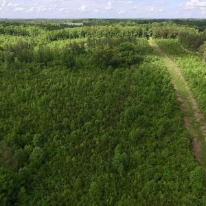 Photo of SOLD!! 83 Acres of Hunting and Recreational Land For Sale in Lunenburg County VA!