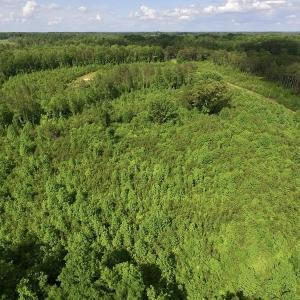 Photo of SOLD!! 83 Acres of Hunting and Recreational Land For Sale in Lunenburg County VA!