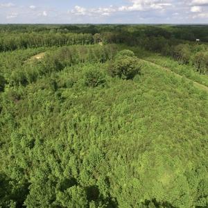 Photo of SOLD!! 83 Acres of Hunting and Recreational Land For Sale in Lunenburg County VA!