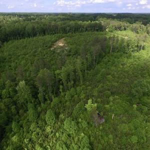 Photo of SOLD!! 83 Acres of Hunting and Recreational Land For Sale in Lunenburg County VA!