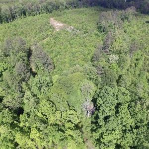 Photo of SOLD!! 83 Acres of Hunting and Recreational Land For Sale in Lunenburg County VA!