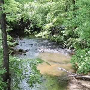 Photo of SOLD!! 83 Acres of Hunting and Recreational Land For Sale in Lunenburg County VA!