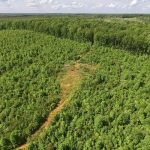 Photo of SOLD!! 83 Acres of Hunting and Recreational Land For Sale in Lunenburg County VA!