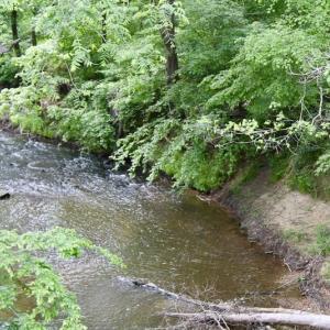 Photo of SOLD!! 83 Acres of Hunting and Recreational Land For Sale in Lunenburg County VA!