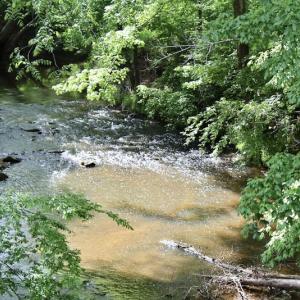 Photo of SOLD!! 83 Acres of Hunting and Recreational Land For Sale in Lunenburg County VA!