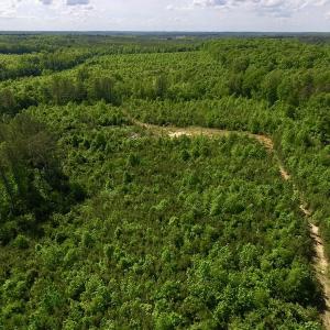 Photo of SOLD!! 83 Acres of Hunting and Recreational Land For Sale in Lunenburg County VA!