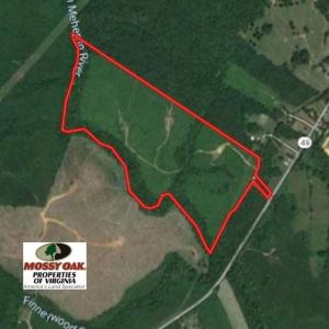 Photo of SOLD!! 83 Acres of Hunting and Recreational Land For Sale in Lunenburg County VA!