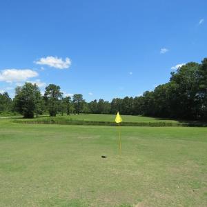 Photo of REDUCED!  155 Acres of Golf Course and Development Land For Sale in Horry County SC!