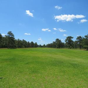 Photo of REDUCED!  155 Acres of Golf Course and Development Land For Sale in Horry County SC!