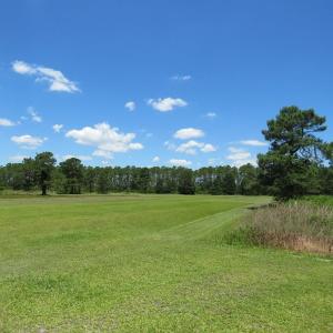 Photo of REDUCED!  155 Acres of Golf Course and Development Land For Sale in Horry County SC!