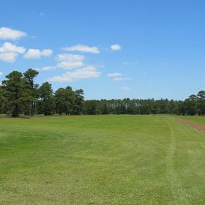 Photo of REDUCED!  155 Acres of Golf Course and Development Land For Sale in Horry County SC!