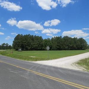 Photo of REDUCED!  155 Acres of Golf Course and Development Land For Sale in Horry County SC!