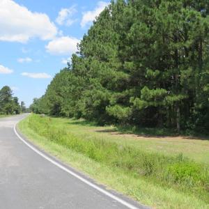 Photo of REDUCED!  155 Acres of Golf Course and Development Land For Sale in Horry County SC!