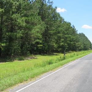 Photo of REDUCED!  155 Acres of Golf Course and Development Land For Sale in Horry County SC!
