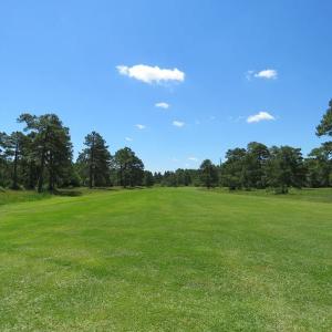 Photo of REDUCED!  155 Acres of Golf Course and Development Land For Sale in Horry County SC!