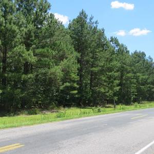 Photo of REDUCED!  155 Acres of Golf Course and Development Land For Sale in Horry County SC!